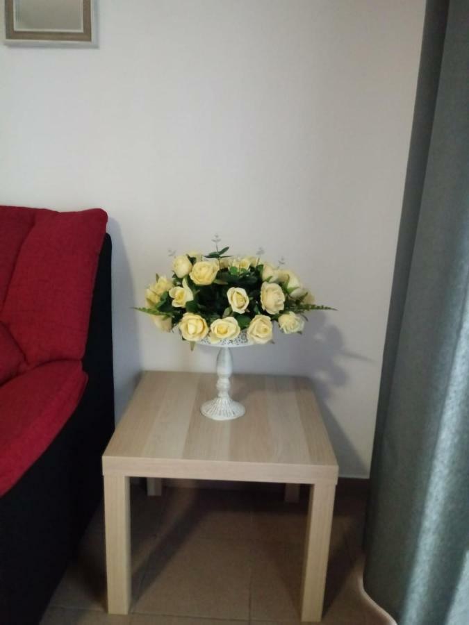 Apartamento Bediesta Santa Cruz de la Palma  Eksteriør billede
